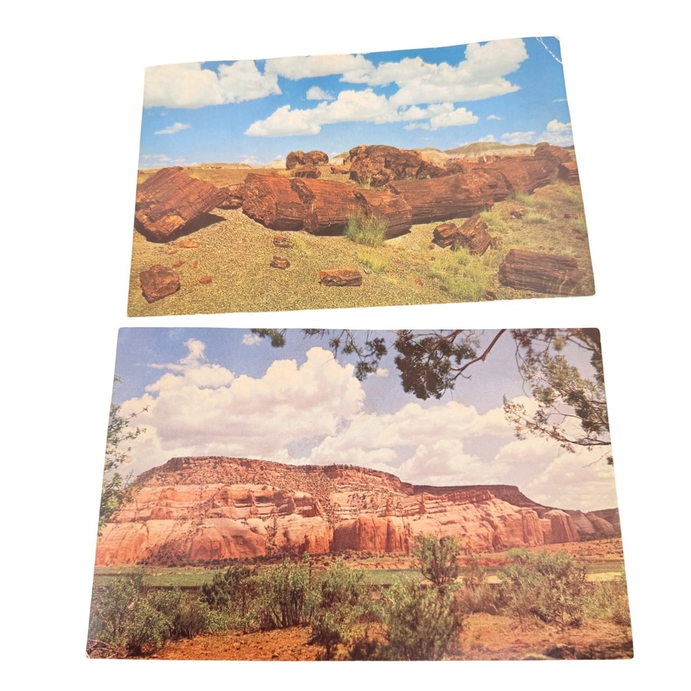Rembrant Vintage Arizona Postcards Petrified Forest New National Monument Lupton